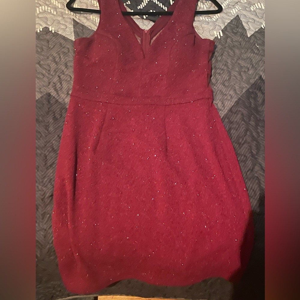 Sparkly Maroon Dress